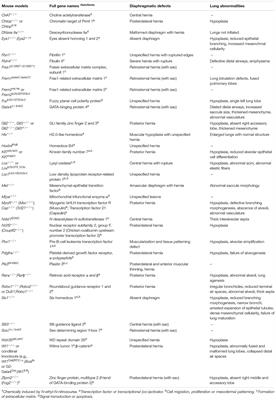 Genetically Modified Mouse Models of Congenital Diaphragmatic Hernia: Opportunities and Limitations for Studying Altered Lung Development